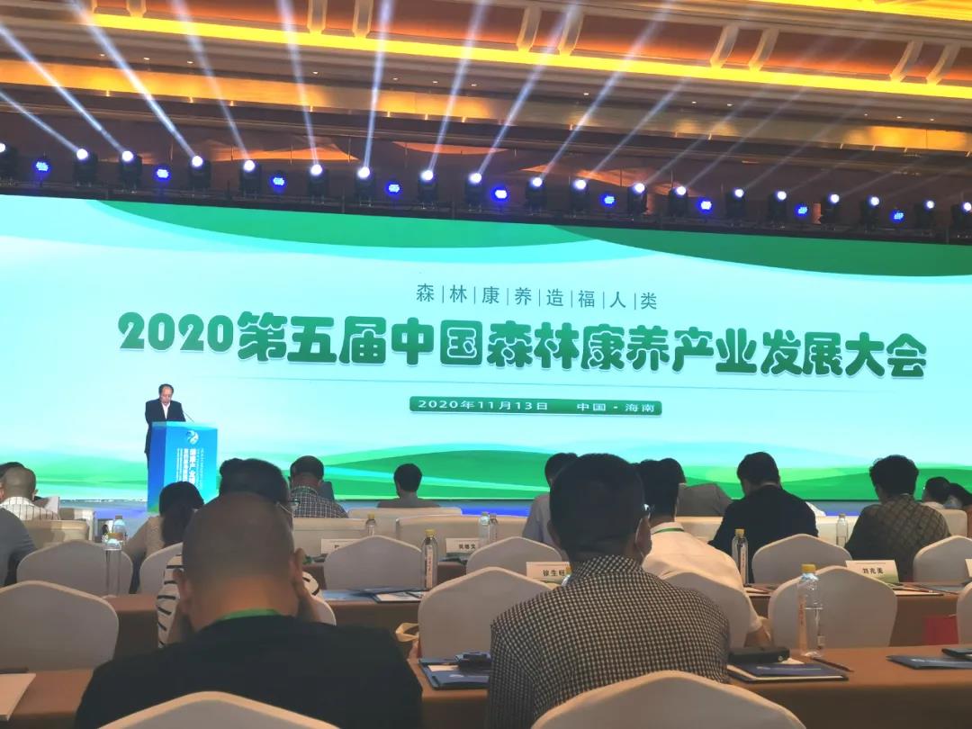 喜報！江油竇圌山景區(qū)榮獲“全國森林康養(yǎng)基地試點建設(shè)單位”稱號！